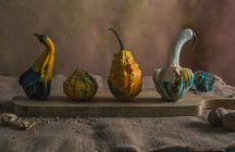 Small different pumpkins with condiments — Stock Photo