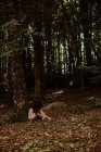 Mujer sensual desnuda por árbol en los bosques - foto de stock