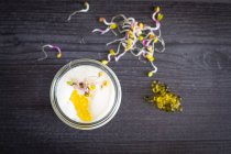 Mousse di formaggio di capra caramellato cipolla e olio extravergine di oliva caviale — Foto stock