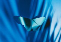 Крихкий блакитний метелик з паперу з тінню пальмового листя прикріплений до синьої шовкової тканини. — стокове фото