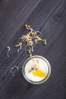 Mousse de queijo de cabra caramelizado cebola e extra virgem caviar azeite — Fotografia de Stock