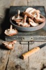 Високий кут свіжозібраних коричневих грибів Шиїтаке в сірій мисці на іржавому металевому лотку на сільському дерев'яному столі — стокове фото