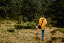 Visão traseira da mulher em capa de chuva amarela andando i floresta — Fotografia de Stock