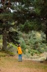 Mujer en impermeable amarillo caminando en el bosque - foto de stock
