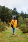 Rückansicht einer Frau in gelbem Regenmantel, die im Wald spazieren geht und raucht — Stockfoto