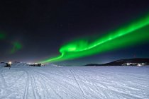 Luces verdes del norte que brillan en el cielo nocturno sobre los árboles de coníferas y el suelo nevado en invierno en la naturaleza - foto de stock