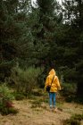 Visão traseira da mulher no capuz e capa de chuva amarela andando i floresta — Fotografia de Stock