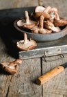 Pilha de cogumelos marrons frescos na mesa de madeira rústica — Fotografia de Stock