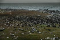 Costa oceânica rochosa na Escócia durante o dia tempestuoso com tempo nebuloso e nebuloso — Fotografia de Stock