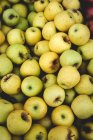 Стенд полный спелых органических зеленых яблок на открытом рынке фермеров — стоковое фото