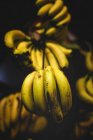 Stand full of ripe organic bananas at farmers outdoor market — Stock Photo