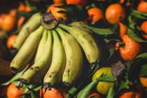 Стенд полный спелых органических апельсинов и бананов на открытом рынке фермеров — стоковое фото