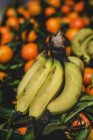Stand pieno di arance biologiche mature e banane al mercato all'aperto degli agricoltori — Foto stock