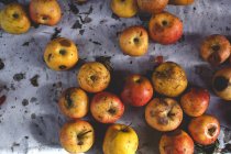 Stand voller reifer gelber Bio-Äpfel auf Bauernmarkt — Stockfoto