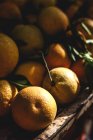 Stand lleno de naranjas orgánicas maduras en el mercado de agricultores al aire libre - foto de stock