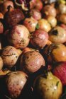 Fique cheio de romãs orgânicas maduras no mercado ao ar livre dos agricultores — Fotografia de Stock