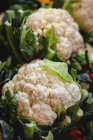 Stand full of ripe organic cauliflower at farmers outdoor market — Stock Photo