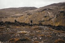 Rückansicht von unkenntlich Reisenden, die Aussicht auf felsiges Gelände mit bewölktem Himmel in Neuseeland genießen — Stockfoto