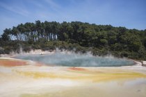 Beau lac volcanique avec plage de sable colorée près de la forêt verte avec ciel bleu à Rotoura, Nouvelle-Zélande — Photo de stock
