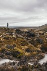 Путешественник наслаждается видом на скалистую местность с облачным небом в Новой Зеландии — стоковое фото