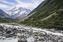 Rivière rocheuse parmi les falaises verdoyantes avec montagne Cook et ciel à la Nouvelle-Zélande — Photo de stock