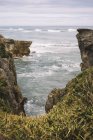 D'en haut de rocheux envahi de plantes bord de mer avec des vagues et ciel nuageux dans Pancake Rocks en Nouvelle-Zélande — Photo de stock