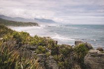 D'en haut de rocheux envahi de plantes bord de mer avec des vagues et ciel nuageux dans Pancake Rocks en Nouvelle-Zélande — Photo de stock