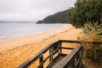 Пейзаж пустых песчаных пляжей и зеленых лесов в Блинных Скалах в Новой Зеландии — стоковое фото