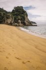 Paisaje de playa de arena vacía y bosque verde en Pancake Rocks en Nueva Zelanda - foto de stock
