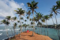 Ruhige Reisende zwischen Palmen am Meeresufer — Stockfoto