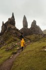 Back view of person in yellow coat walking along footpath on green hills against misty rocks of Old Man Of Storr in Scotland — стокове фото