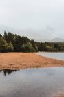 Сценічний мирний краєвид піщаного пляжу і зеленого лісу на озері в Шотландії з туманними горами в хмарну погоду. — стокове фото