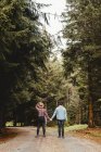 Back view of couple of travelers holding hands while walking on narrow road among forest during trip in Scotland — Stock Photo