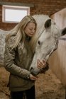 Vista laterale della donna bionda dai capelli lunghi che alimenta cavallo grigio ananas con criniera bianca in stalla — Foto stock