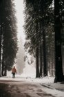 Person walking on snowy road in forest — Stock Photo