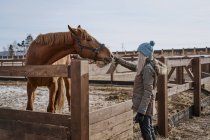 Seitenansicht von luxuriösen Pferd in Zaumzeug und Frau in warmen Hut und Jacke Fütterung durch Heu auf Hof bei hellem Tag — Stockfoto