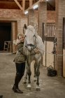 Mulher loira de cabelos compridos abraçando cavalo cinza dapple com focinho de crina branca e olhando na câmera no estábulo — Fotografia de Stock