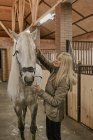 Mulher de cabelos longos acariciando cavalo cinza maçã com focinho de crina branca no estábulo — Fotografia de Stock