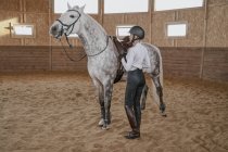 Jinete con caballo gris manzana en arena redonda - foto de stock