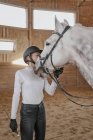 Cavaleiro ajustando freio no cavalo cinza maçã na arena redonda — Fotografia de Stock