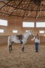 Frau mit apfelgrauem Pferd mit langem flauschigem Schwanz geht durch große Arena — Stockfoto