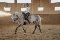 Cavaliere a cavallo dapple grigio in arena rotonda — Foto stock