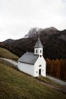 Мала церква на скелі біля лісу та гір — стокове фото