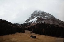 Casa solitaria en campo por montaña - foto de stock