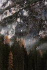 Grandes montañas cerca del bosque de pinos en tiempo nublado - foto de stock