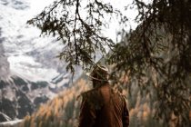 Homem deliciando-se com vistas da floresta e das montanhas — Fotografia de Stock
