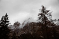 Big mountains near pine forest on cloudy weather — Stock Photo