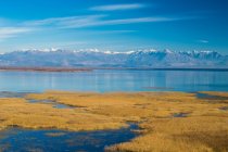Гірський хребет, розташований на березі спокійного блакитного озера з сухими травами проти хмарного неба в сонячний день у Чорногорії. — стокове фото