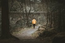 Vista trasera del viajero masculino con chaqueta naranja brillante caminando por el sendero junto al viejo puente de piedra mientras visita Tollymore Forest Park en Irlanda del Norte en el día de primavera - foto de stock