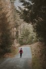 Vue arrière du voyageur anonyme en veste chaude marchant sur la forêt lors de la visite du parc forestier de Tollymore en Irlande du Nord au printemps — Photo de stock